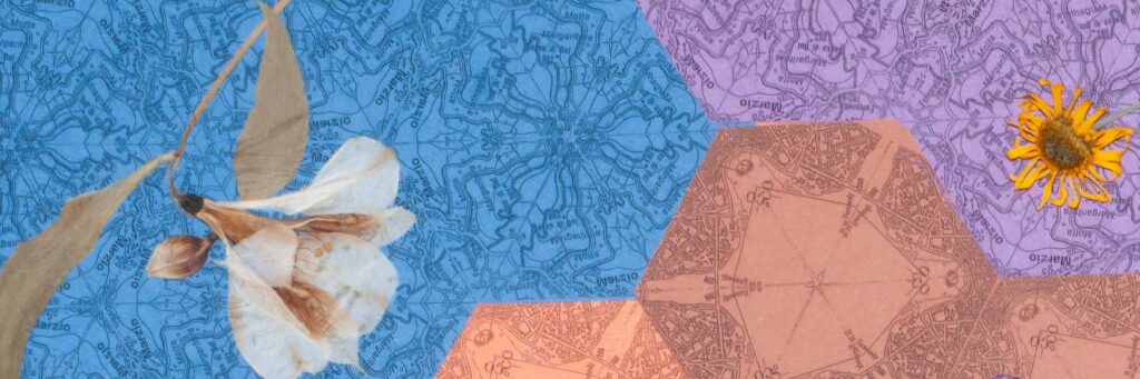 Dettaglio del collage di Maria Jazmín Gómez Roitberg: porzione di mappa geografica a esagoni nei toni del viola, del blu e del terracotta, specchiata e ruotata, con curve di livello e toponimi di Milano e Brianza. Sopra, un fiore bianco essiccato da portamento pendulo