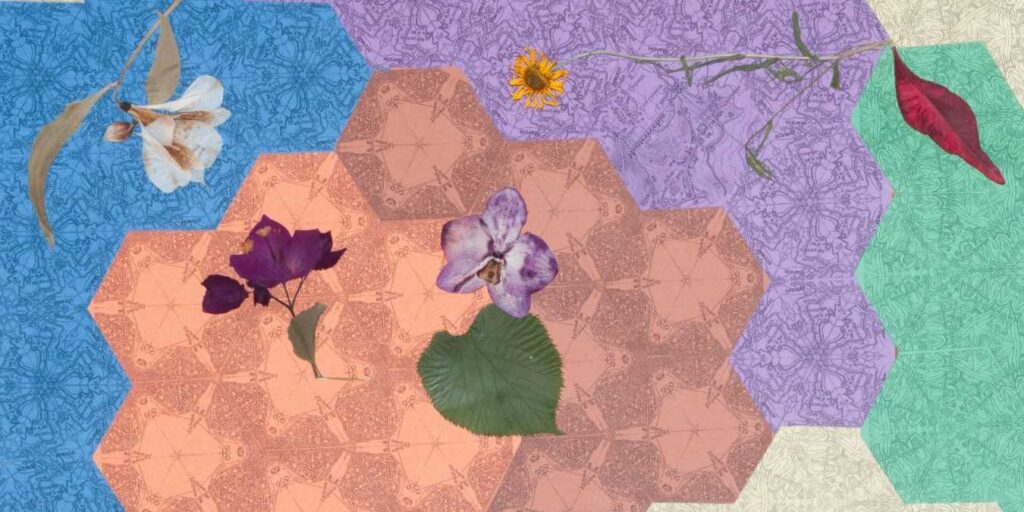 Collage di esagoni di mappa geografica nei toni del blu, terracotta, viola, verde e sabbia, specchiati e ruotati. Sopra la trama, elementi naturali essiccati: un fiore bianco pendulo, un fiore viola scuro con foglia, un fiore lilla screziato con foglia a cuore, un fiore giallo-arancio dal centro scuro, una foglia rossa allungata.