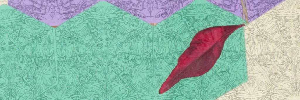 Dettaglio del collage di Maria Jazmín Gómez Roitberg: porzione di mappa geografica a esagoni nei toni del viola, del verde, del magenta e del sabbia, specchiata e ruotata, con curve di livello e toponimi di Milano e Brianza. Sopra, una foglia rossa esssiccata