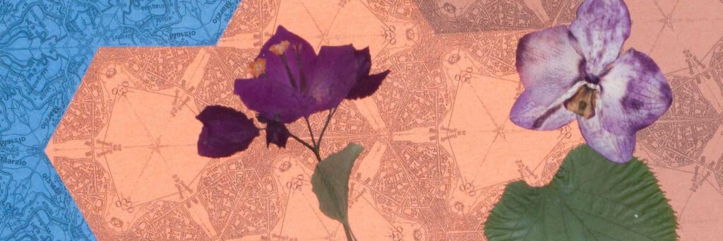 Dettaglio del collage di Maria Jazmín Gómez Roitberg: porzione di mappa geografica a esagoni nei toni del blu e del terracotta, specchiata e ruotata, con curve di livello e toponimi di Milano e Brianza. Sopra, un fiore viola scuro un fiore lilla screziato al centro