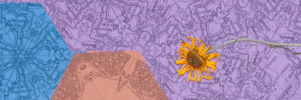 Dettaglio del collage di Maria Jazmín Gómez Roitberg: porzione di mappa geografica a esagoni nei toni del viola, dell'azzurro e del terracotta, specchiata e ruotata, con curve di livello e toponimi di Milano e Brianza. Sopra, un fiore giallo arancio esssiccato